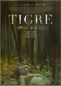 Tigre Tigre