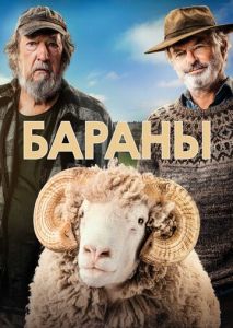 Бараны Бараны