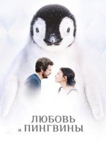 Любовь и пингвины Любовь и пингвины