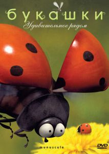 Букашки Букашки