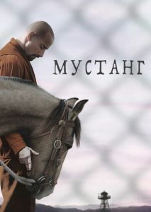Мустанг Мустанг
