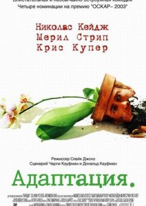 Адаптация Адаптация