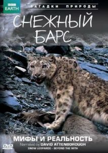 BBC: Снежный барс: Мифы и реальности BBC: Снежный барс: Мифы и реальности