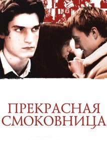Прекрасная смоковница Прекрасная смоковница