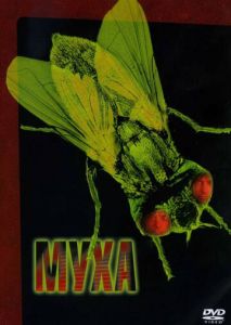 Муха Муха