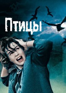 Птицы Птицы