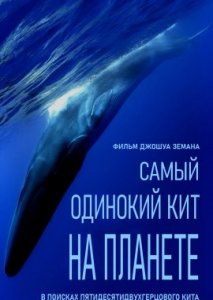 Самый одинокий кит на планете: В поисках Пятидесятидвухгерцового кита Самый одинокий кит на планете: В поисках Пятидесятидвухгерцового кита
