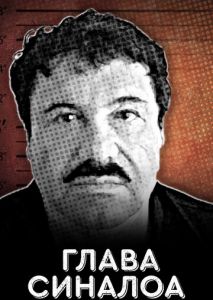 Глава Синалоа Глава Синалоа