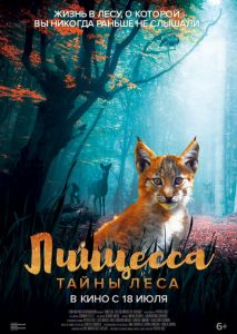 Линцесса. Тайны леса Линцесса. Тайны леса