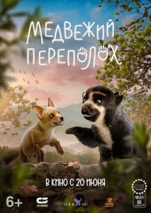 Медвежий переполох Медвежий переполох