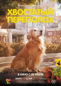 Хвостатый переполох Хвостатый переполох